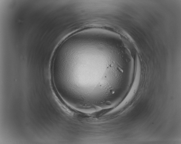 X0000070210795200605261251