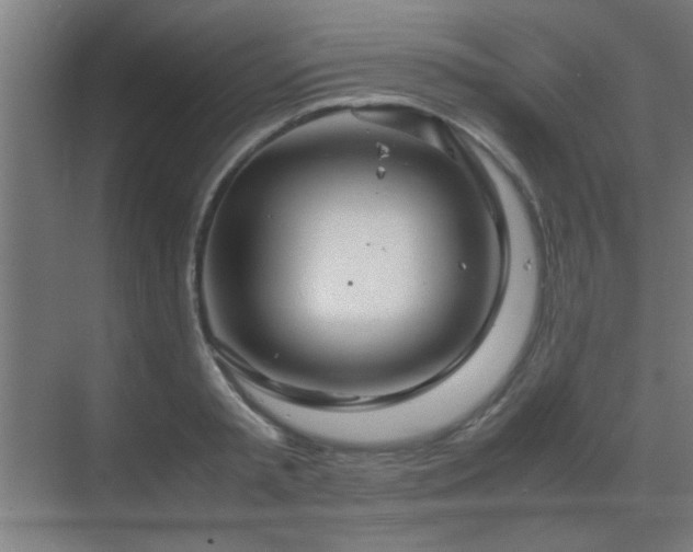 X0000070210797200605261251