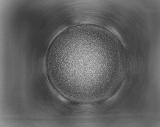 X0000070210798200605261250