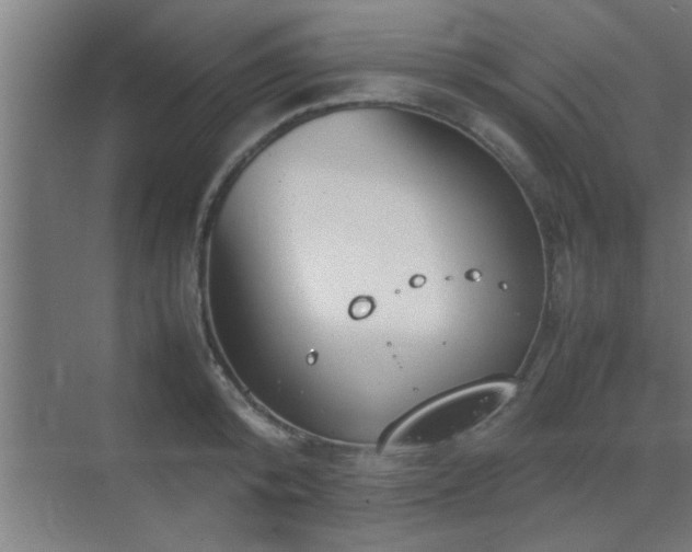 X0000070210800200605261250