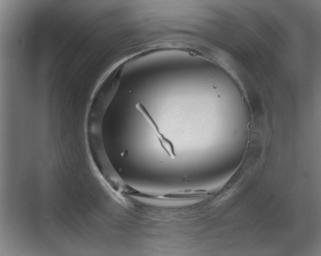 X0000070210803200605261250