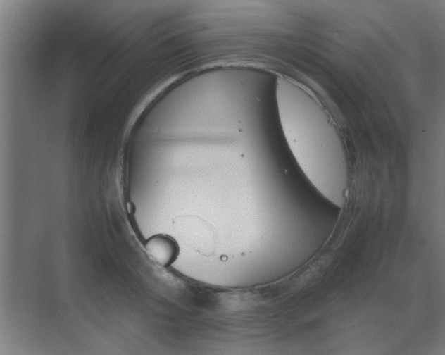 X0000070210804200605261250