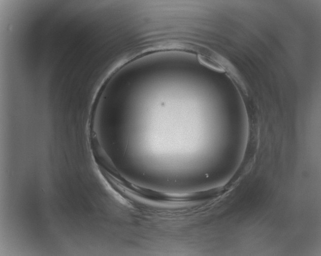 X0000070210805200605261250