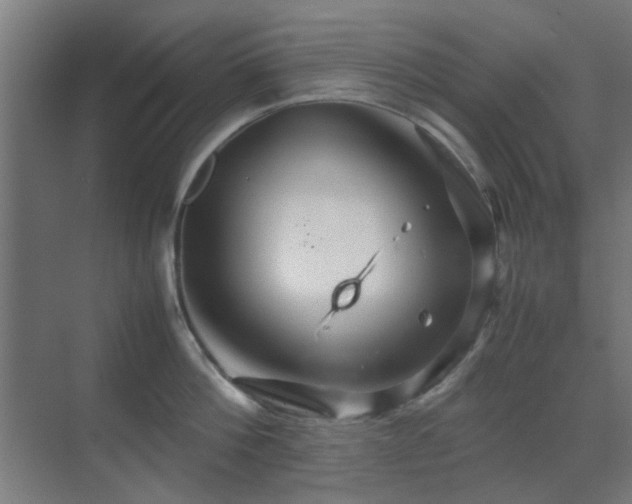 X0000070210812200605261250