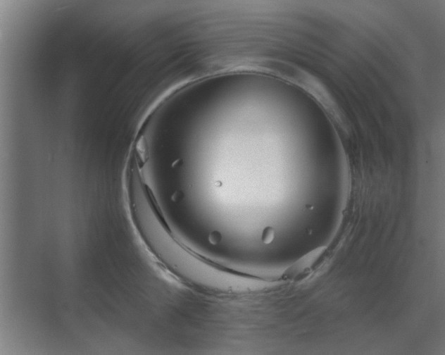 X0000070210814200605261250