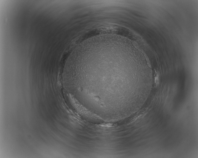 X0000070210819200605261249