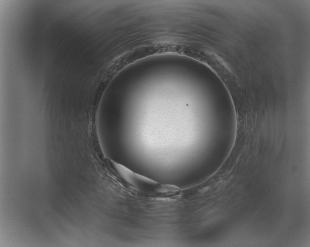 X0000070210821200605261249