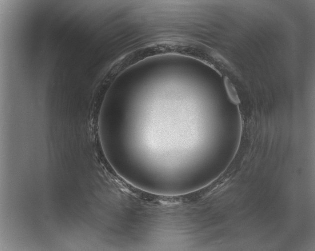 X0000070210822200605261249