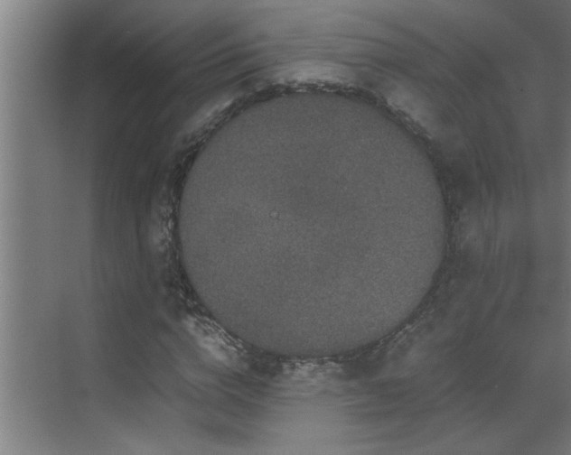 X0000070210824200605261250