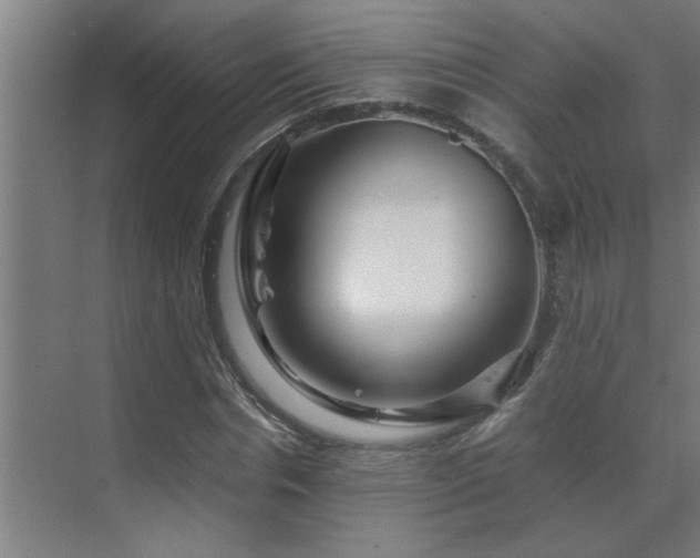 X0000070210826200605261250