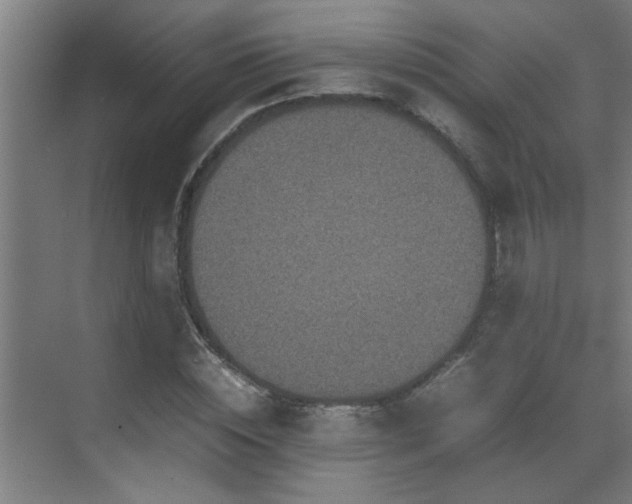 X0000070210828200605261250