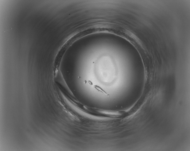 X0000070210829200605261250