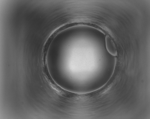 X0000070210830200605261250