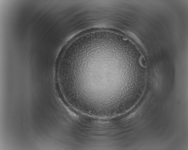 X0000070210831200605261250