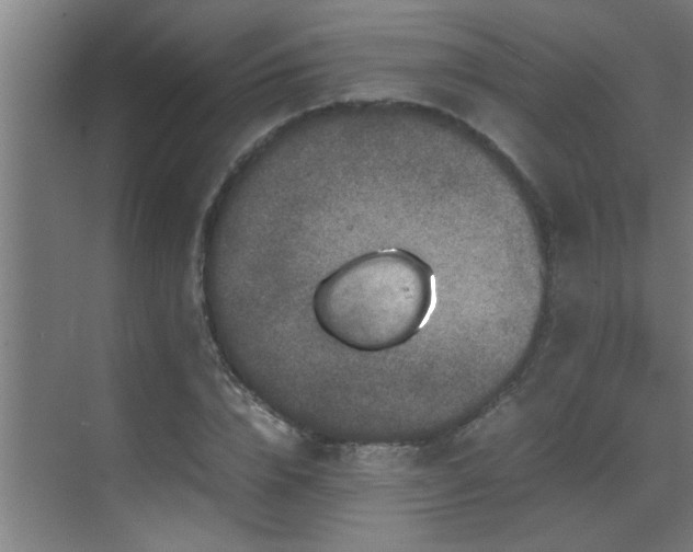 X0000070210832200605261250