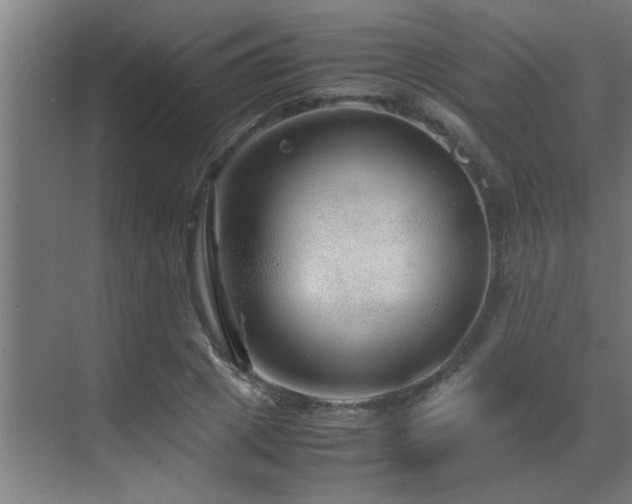 X0000070210833200605261250