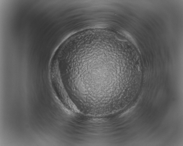 X0000070210835200605261250