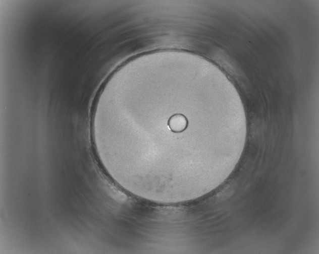 X0000070210836200605261250