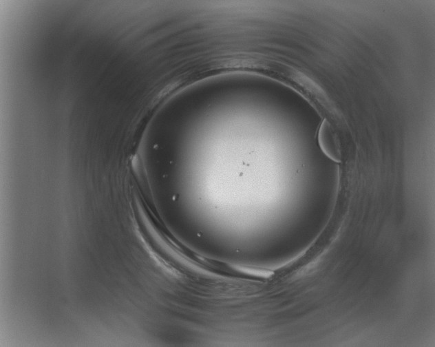 X0000070210841200605261250