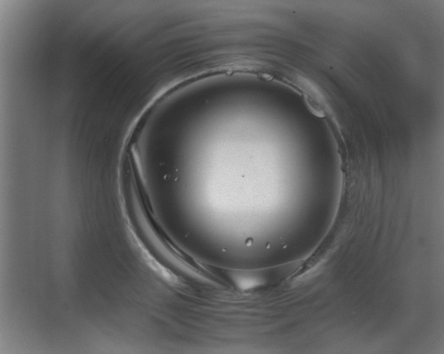 X0000070210843200605261250