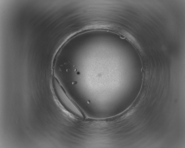 X0000070210844200605261250