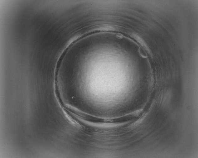 X0000070210845200605261250