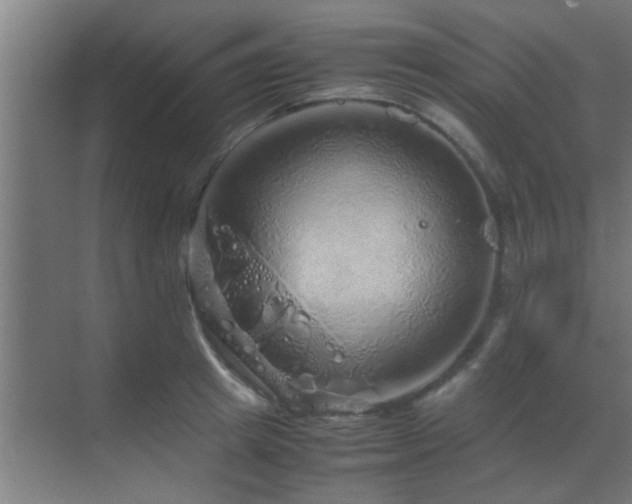 X0000070210849200605261250