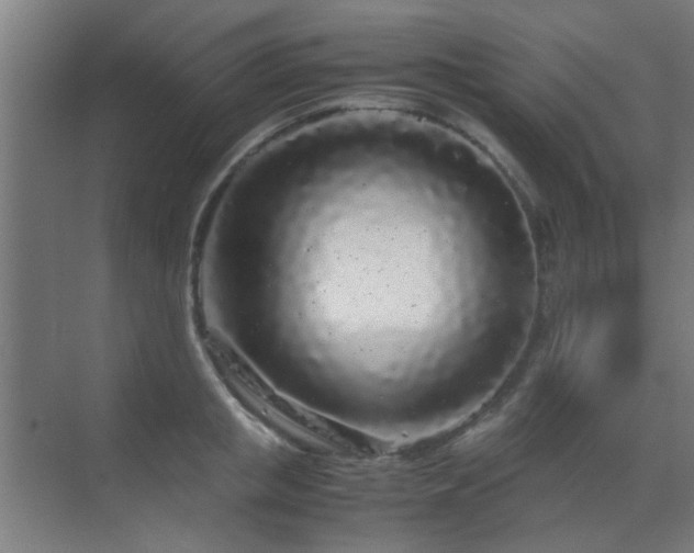 X0000070210853200605261250