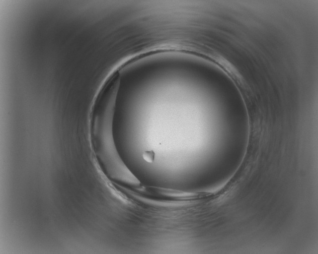 X0000070210854200605261250