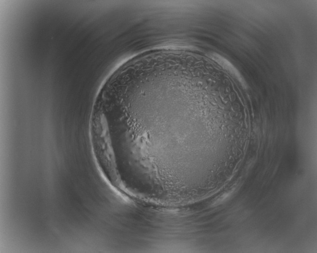 X0000070210855200605261250