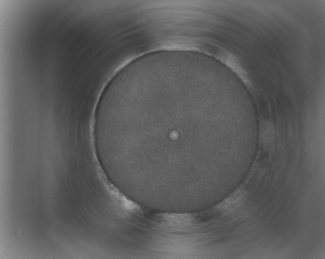 X0000070210856200605261250