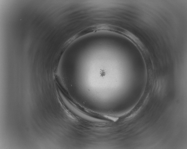 X0000070210857200605261250