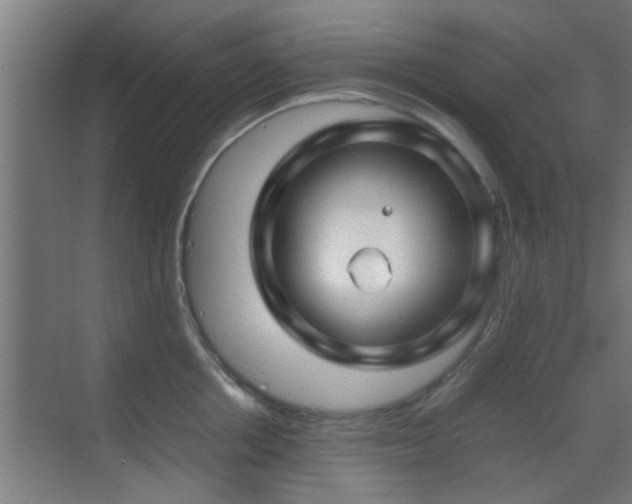 X0000070210858200605261250