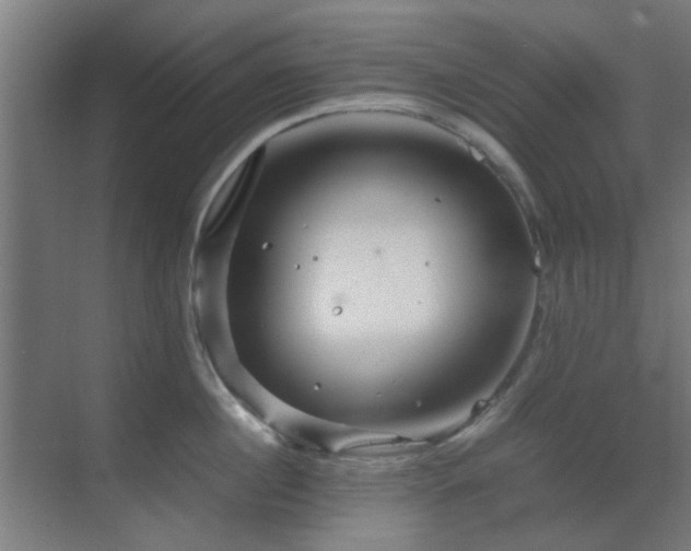 X0000070210860200605261250