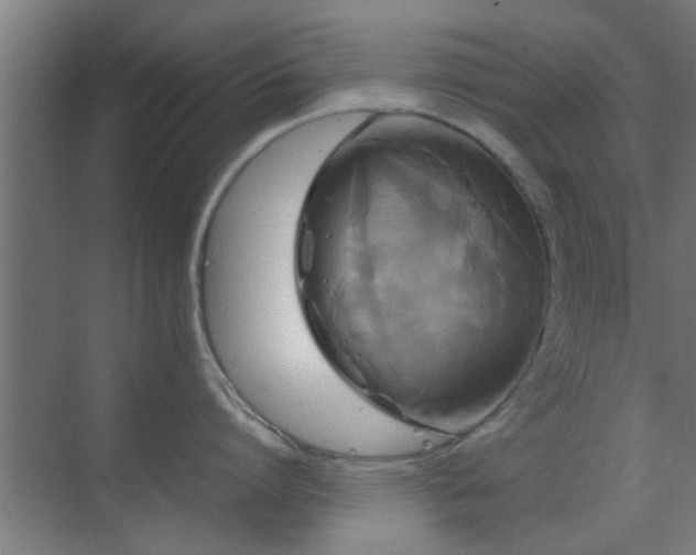 X0000070210864200605261250