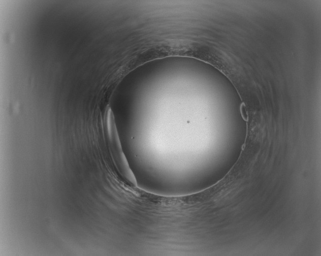 X0000070210866200605261249