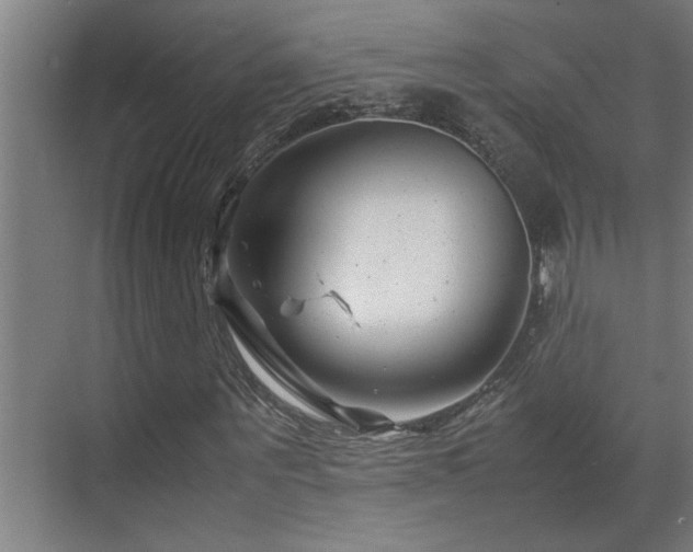 X0000070210867200605261249