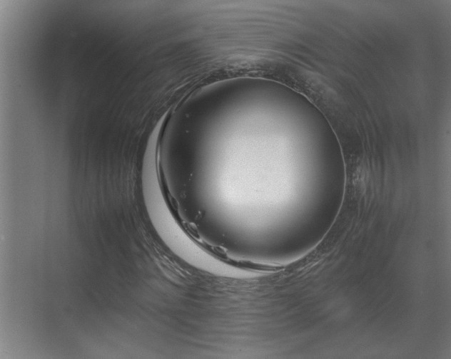 X0000070210868200605261249