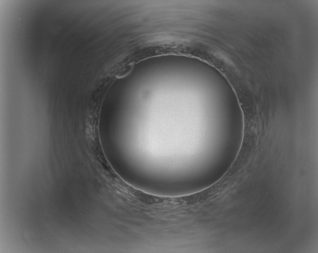 X0000070210869200605261249