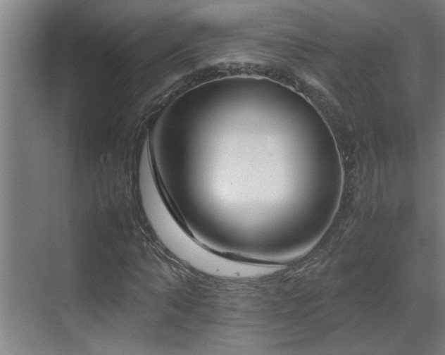 X0000070210870200605261249