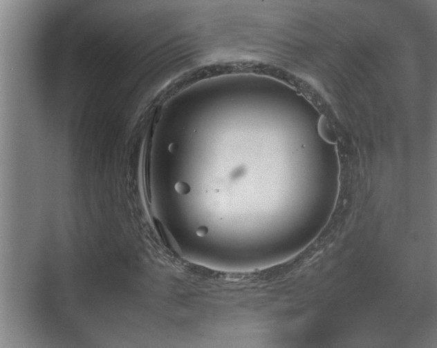 X0000070210871200605261249