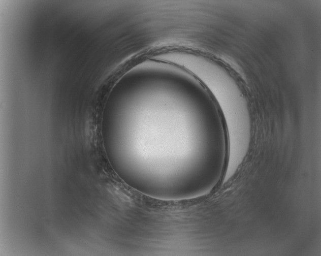 X0000070210872200605261249