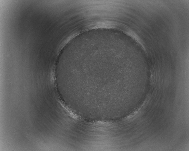 X0000070210874200605261249