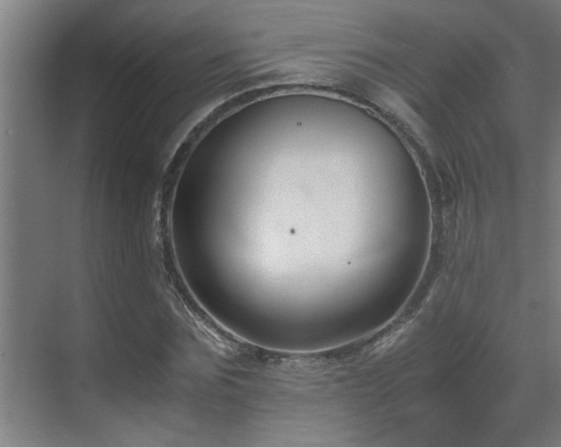 X0000070210875200605261249