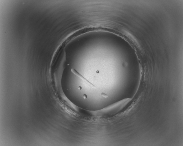 X0000070210876200605261249