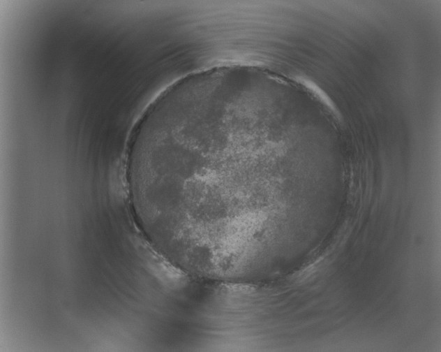 X0000070210878200605261249