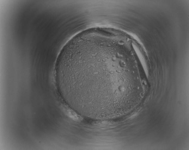 X0000070210879200605261249