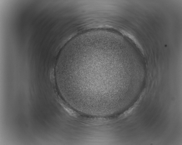 X0000070210881200605261249