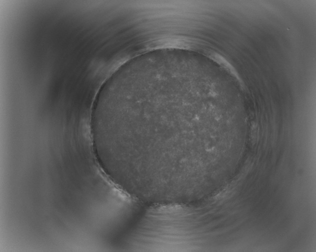 X0000070210882200605261249