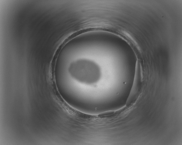 X0000070210883200605261249